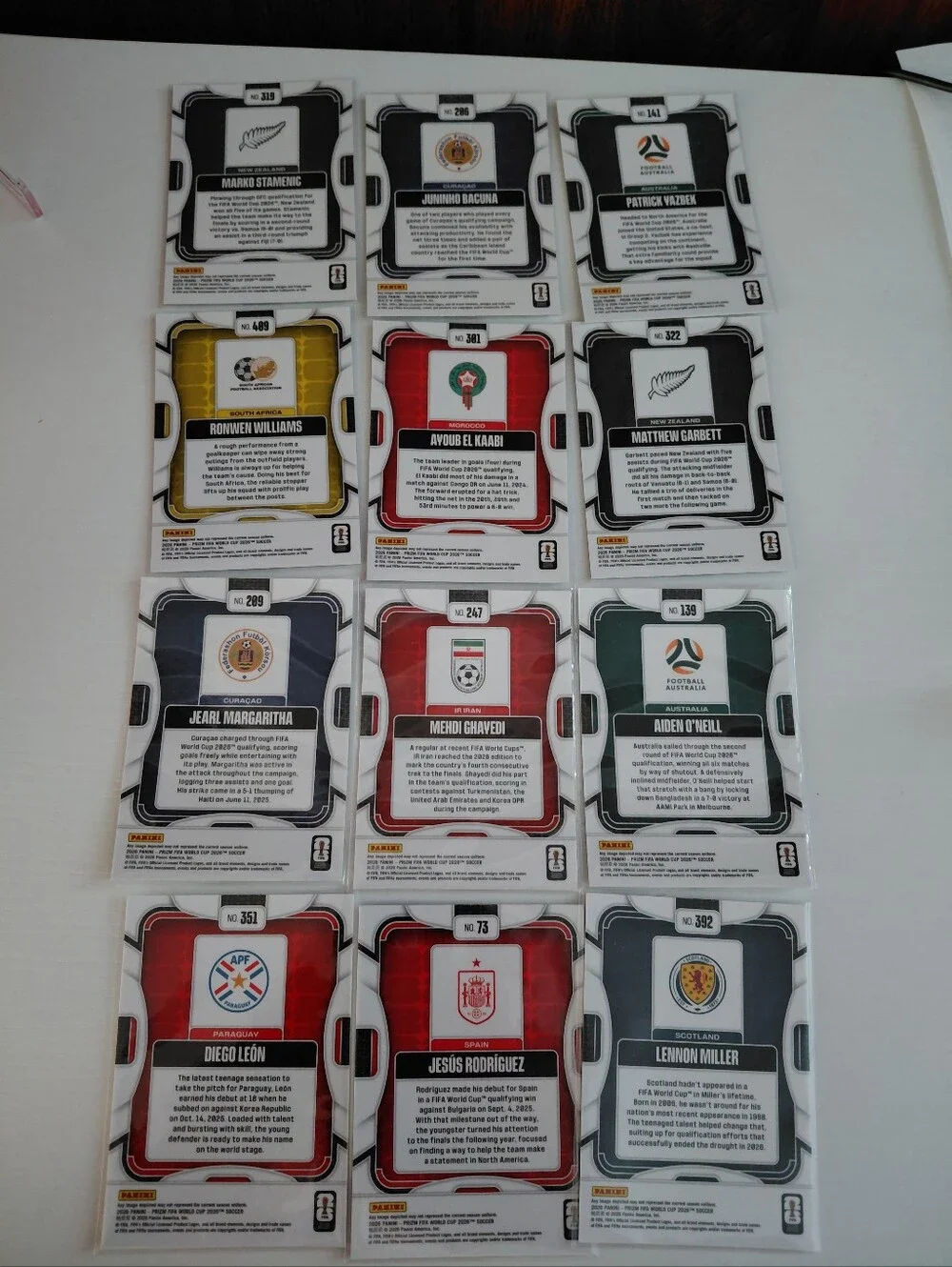 Panini official soccer